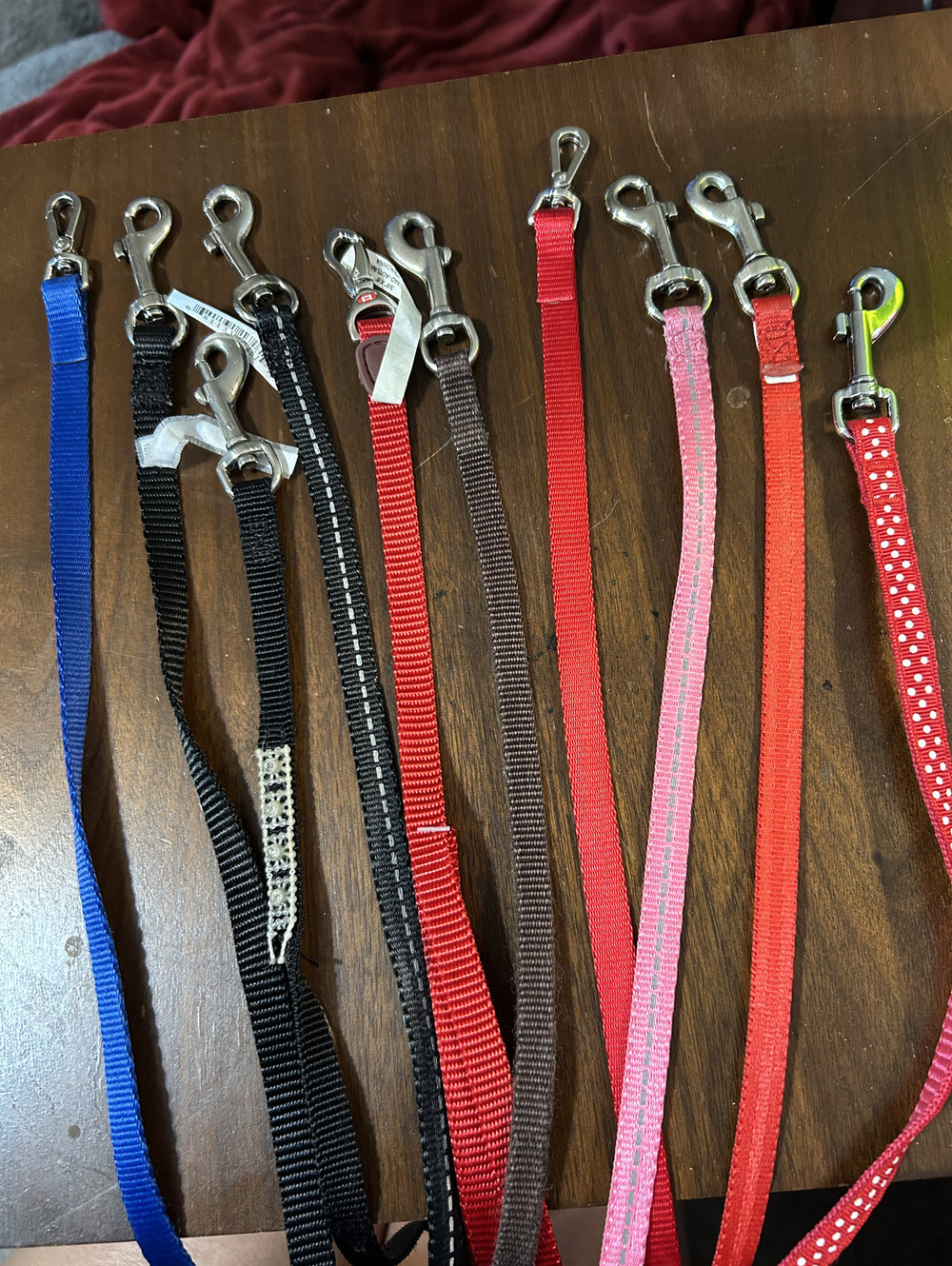 Assorted Nylon Dog Leashes with Metal Clips - Multiple Colors